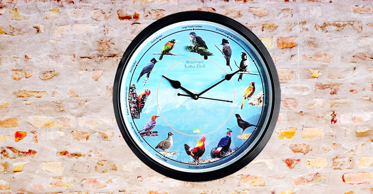 Himalayan Birds Tweeter wall Clock