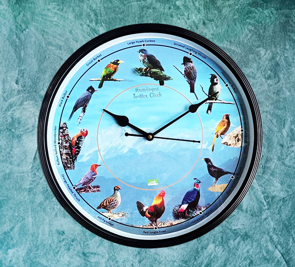 Himalayan Birds Tweeter Wall Clock